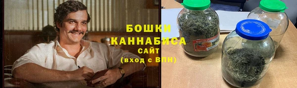 spice Богородск