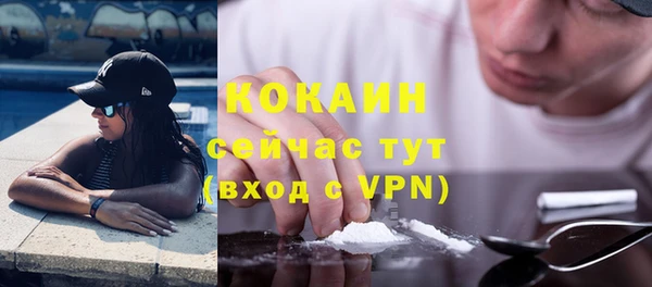 spice Богородск
