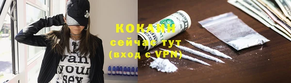 мескалин Богородицк