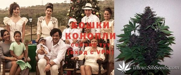 мескалин Богородицк