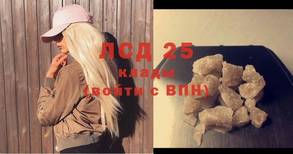 spice Богородск