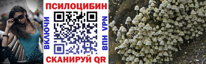 Псилоцибиновые грибы MAGIC MUSHROOMS  гидра   Краснозаводск 